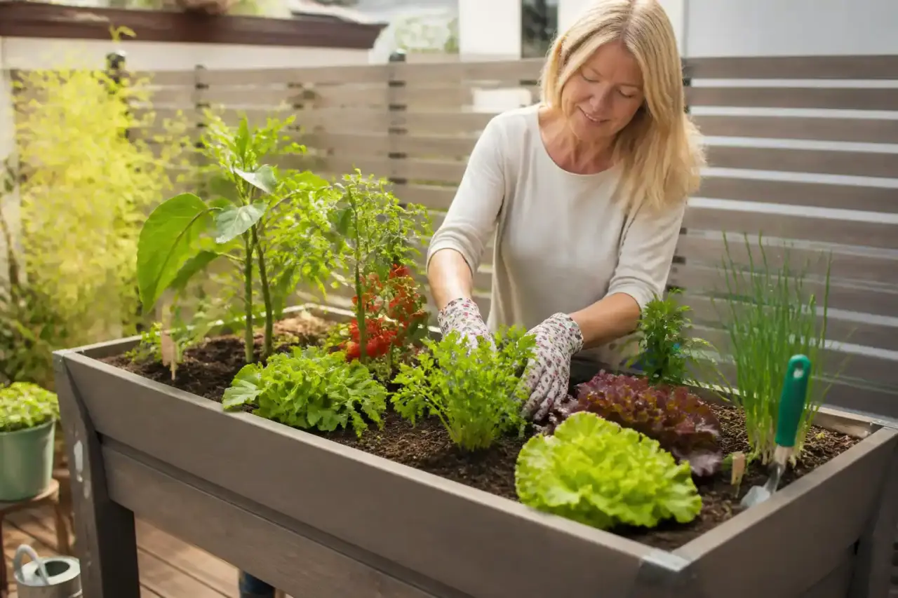 Potager en hauteur : choisir, remplir et cultiver pour un jardinage sans douleur